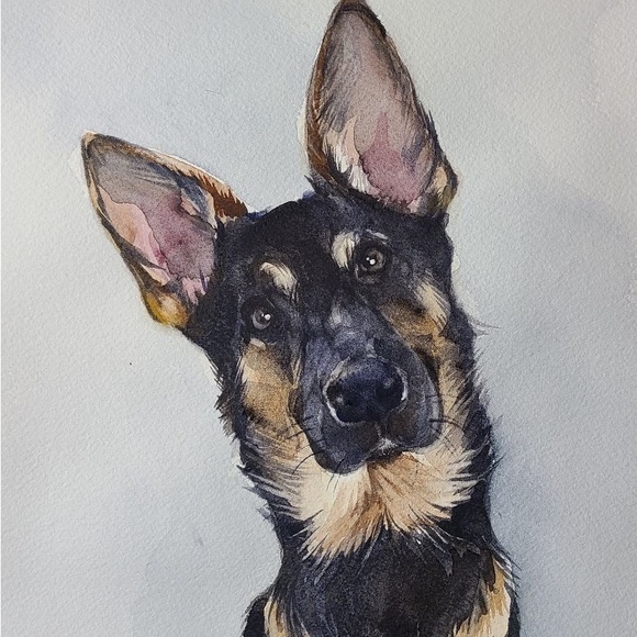 Meet your Posher, Chris - Picture 2 of 2